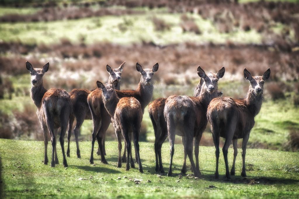 Anroach Farm Peak District Apartman Buxton  Szoba fotó